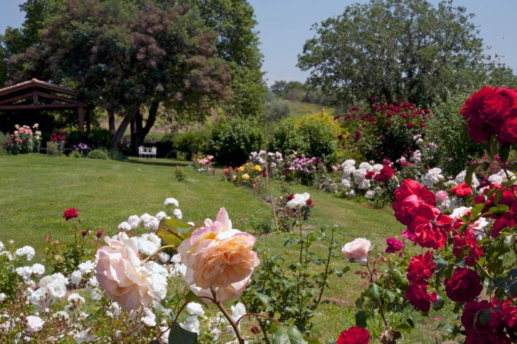 Locanda Ilune Pitigliano Bagian luar foto
