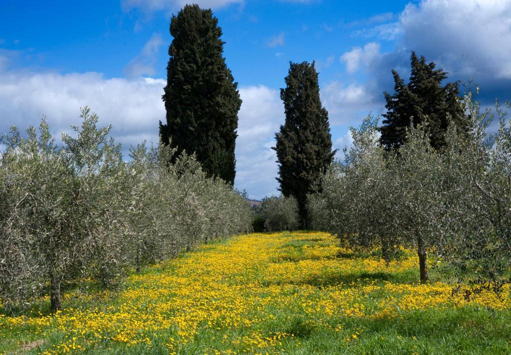 Locanda Ilune Pitigliano Bagian luar foto