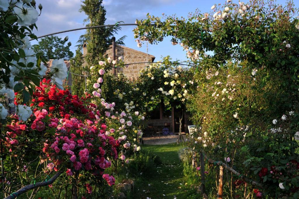Locanda Ilune Pitigliano Bagian luar foto