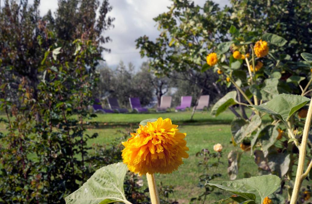 Locanda Ilune Pitigliano Bagian luar foto