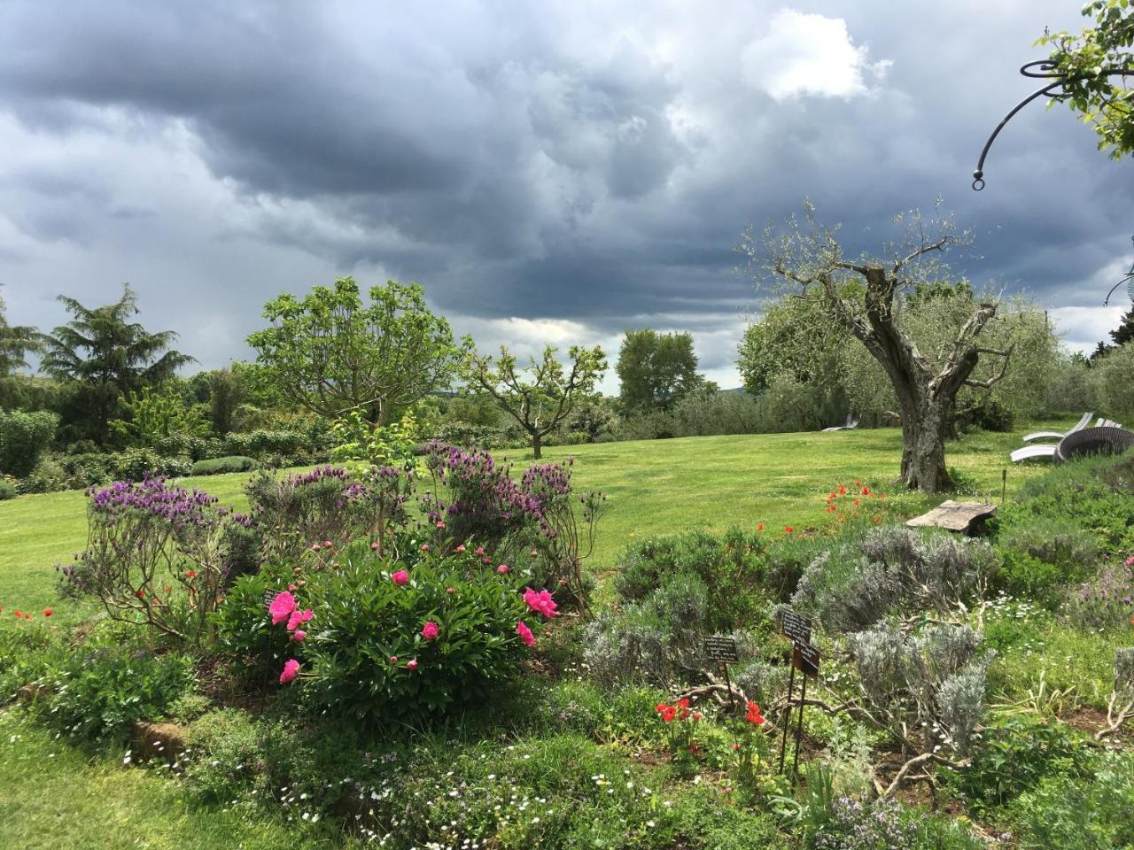 Locanda Ilune Pitigliano Bagian luar foto