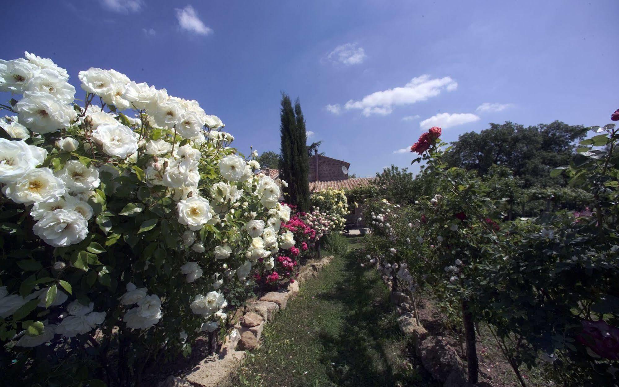 Locanda Ilune Pitigliano Bagian luar foto
